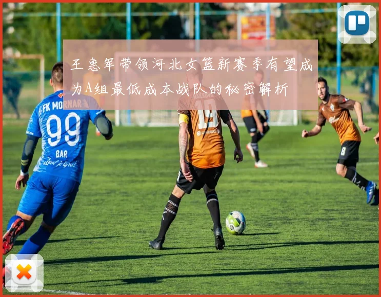 王惠军带领河北女篮新赛季有望成为A组最低成本战队的秘密解析