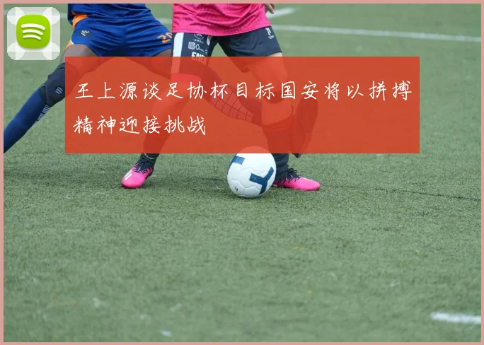 王上源谈足协杯目标国安将以拼搏精神迎接挑战