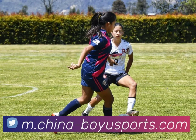 博鱼体育APP 体育赛事宣传图